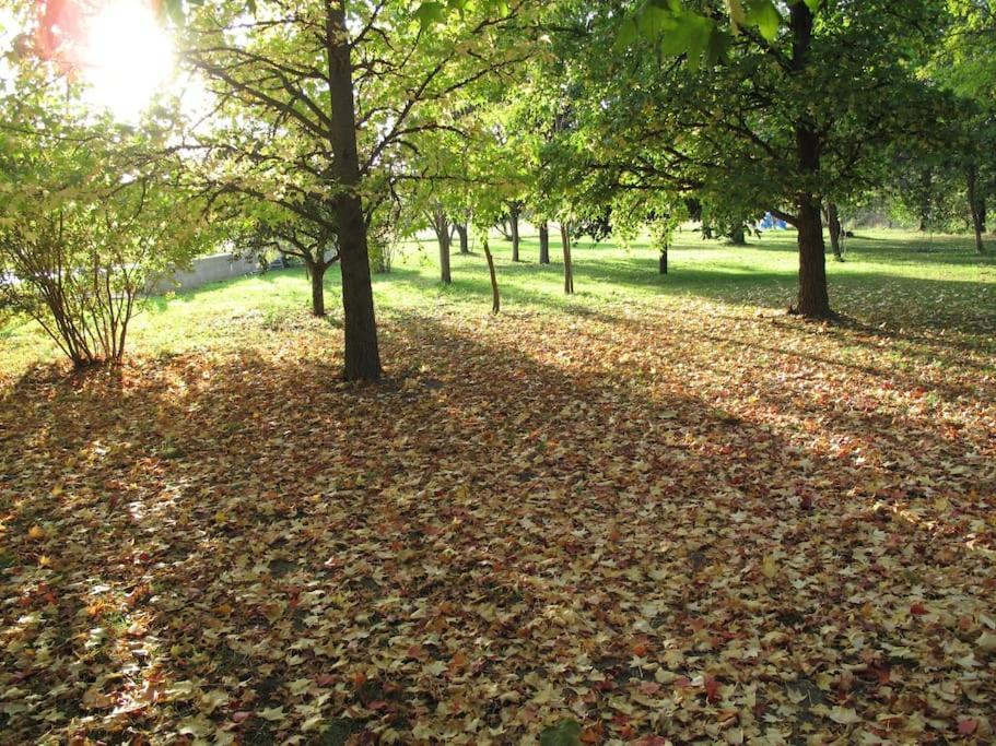 Paluds de Noves Le Jardin D'Erables St Remy 7 Ha Piscine/Clim 빌라 외부 사진