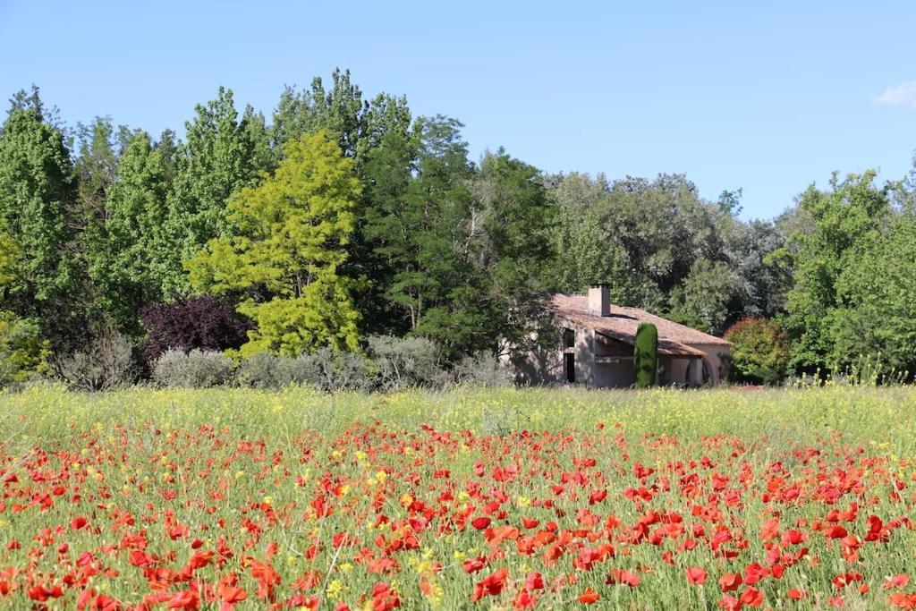 Paluds de Noves Le Jardin D'Erables St Remy 7 Ha Piscine/Clim 빌라 외부 사진